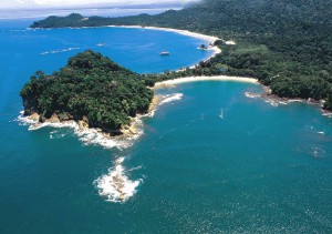 Luxury Vacation Rental